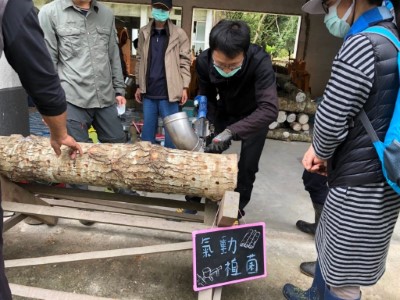 段木香菇栽培課程-氣動植菌(資料照片)
