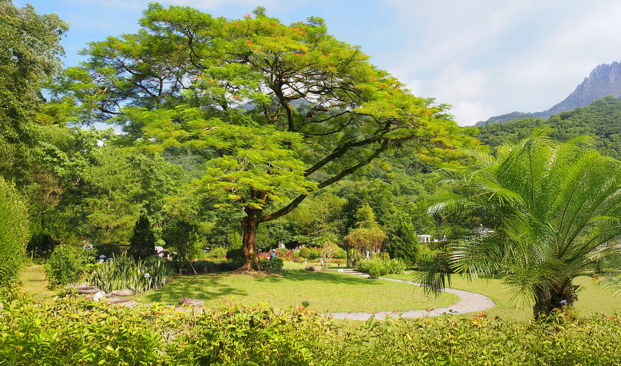 富源國家森林遊樂區夢幻花園