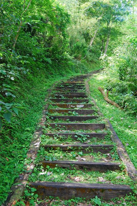 登山步道一景