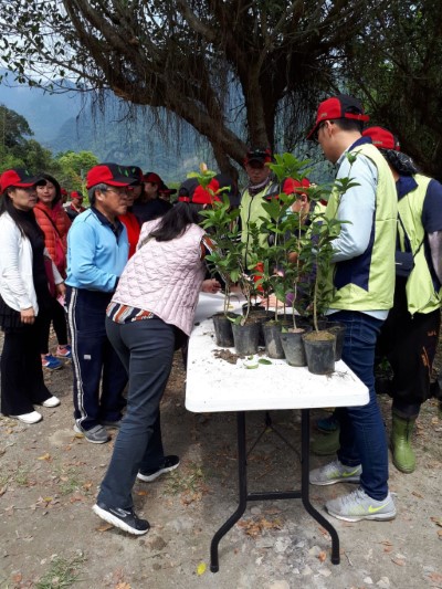 林管處準備象徵長壽及富貴，深受民眾喜愛的茶花及桂花贈送活動民眾