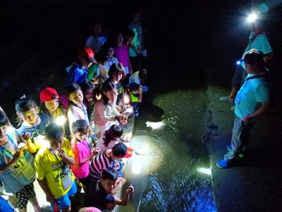 夜間觀察課程，講師帶領觀察溪流魚蝦蟹類