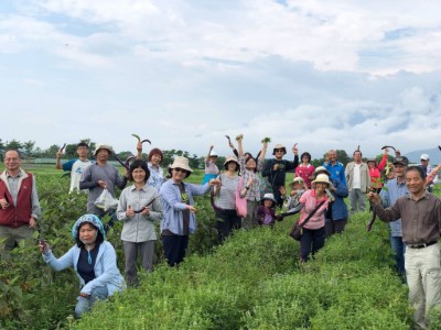 花蓮處社區伙伴及志工們在大農大富平森園區之可食地景區享受拔菜樂趣(3)
