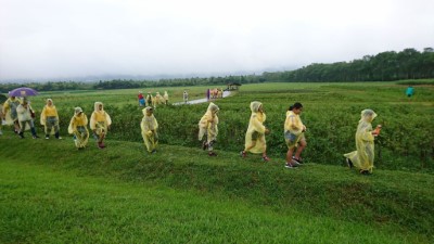 西富國小學生開心走進可食地景區