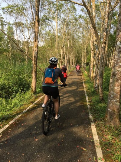 大農大富平地森林園區騎乘腳踏車悠遊林間，享受夏季迎面吹拂的微風