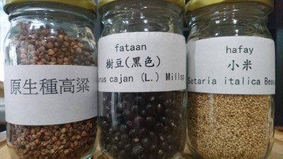 洄瀾灣文化協會所保存的阿美族傳統野菜種子_高粱、樹豆及小米
