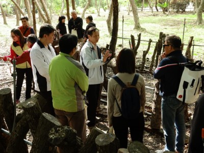 參訪林下經濟-段木香菇種植成果