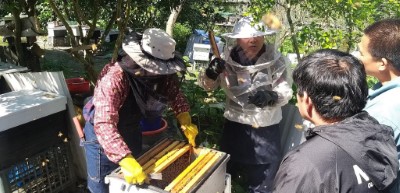 聆聽國福社區分享養蜂過程