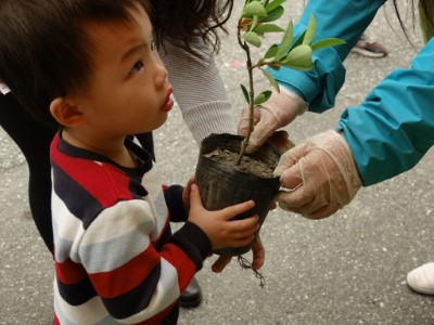 小朋友在家長帶領下來兌領苗木，愛樹護樹從小做起。