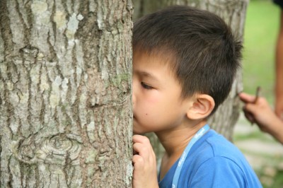 小朋友們運用嗅覺認識大樹