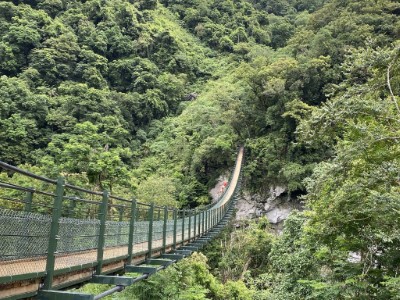 龍吟吊橋，長156公尺，以較輕量化之懸垂式吊橋，不設置抗風索，以減少工程入侵森林。