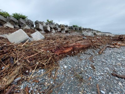 颱風後出現漂流木(物)堆積