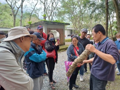 段木香菇栽培課程