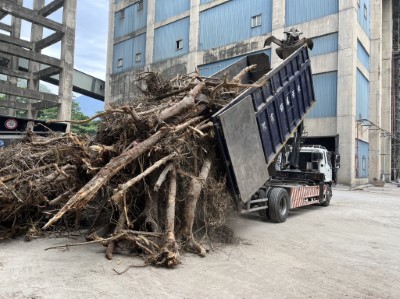 移除之銀合歡交由台泥集運至和平分廠經破碎及高溫處理技術轉化為水泥製程之替代燃料