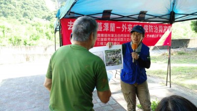 移除小花蔓澤蘭活動-用圖卡宣導2