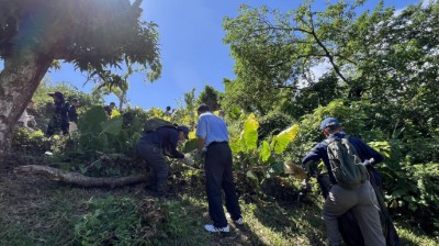 113年度小花蔓澤蘭防治暨多元利用宣導活動