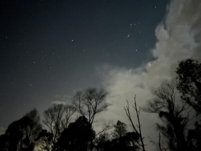 大農大富平地森林低開發、低光害的特性，除了讓動物們安心休息，未來園區也將加入暗夜守護的行列，期待讓更多人可以體驗大農大富的璀璨星空。