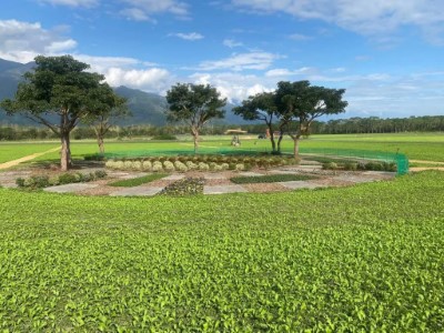 大農大富平地森林園區