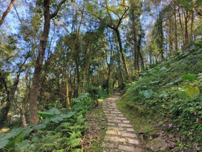 池南國家森林遊樂區-森林浴步道