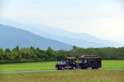 森林遊園小火車