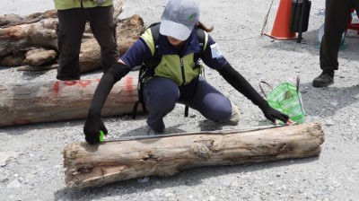 實體演練具標售價值漂流木註記作業