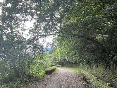 佐倉步道視野開昶