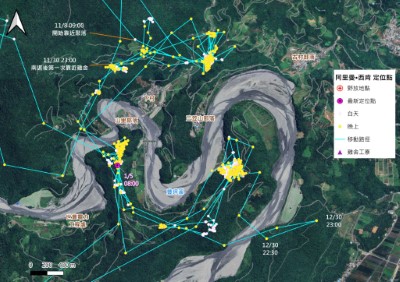 114年11月起，阿里曼·西肯頻繁出沒於山里部落，白天隱匿於周邊森林，夜間伺機到養禽場覓食。