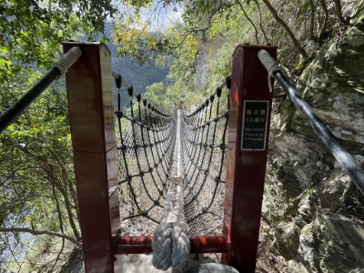 步道設置2座吊索橋，提供不同步行體驗。