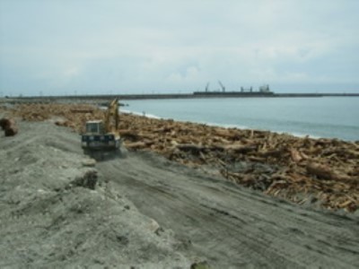 風災後海岸線漂流木整理