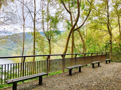 鯉魚山野餐觀景步道整修工程-榮譽事蹟2