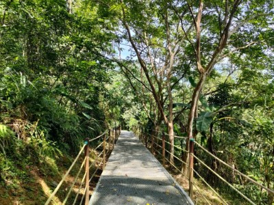 鯉魚山野餐觀景步道整修工程-榮譽事蹟3