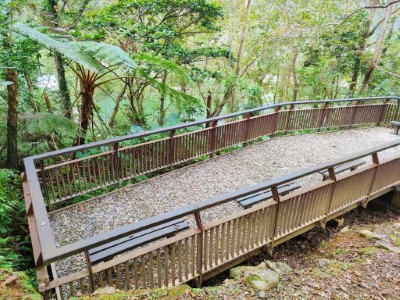 鯉魚山野餐觀景步道整修工程-榮譽事蹟4