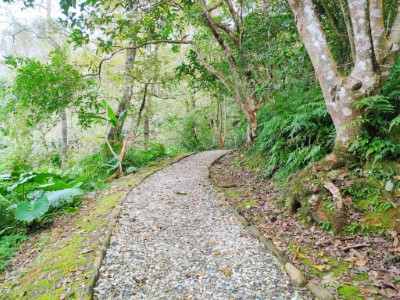 鯉魚山野餐觀景步道整修工程-榮譽事蹟5