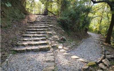 鯉魚山野餐觀景步道整修工程-榮譽事蹟6